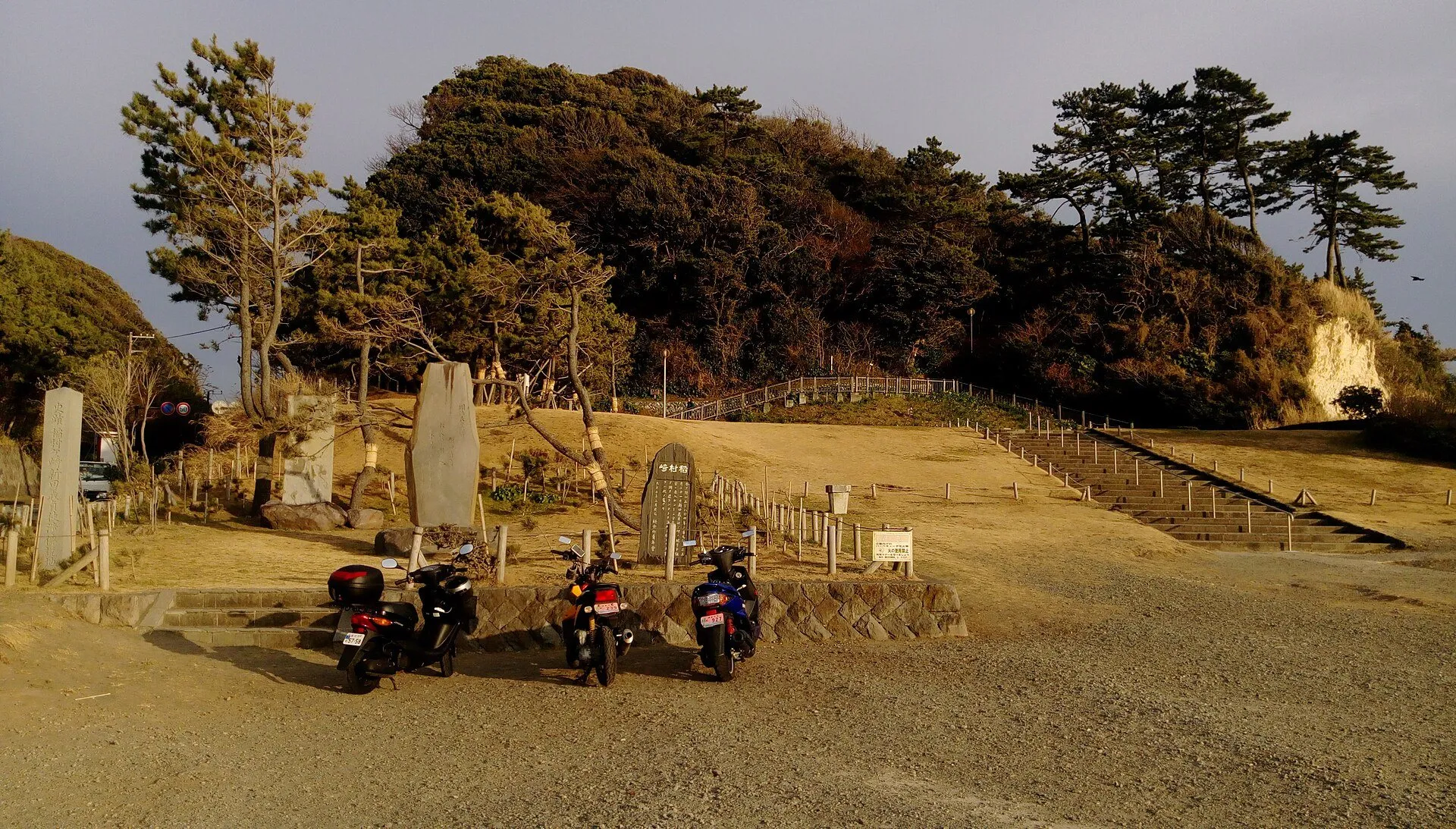 松の木立と芝生が広がる稲村ヶ崎公園(鎌倉海浜公園稲村ガ崎地区)